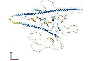 Protein Structure (PS) image for Inner Centromere Protein Antigens 135/155kDa (INCENP) (AA 1-880) protein (His tag) (ABIN7565215)