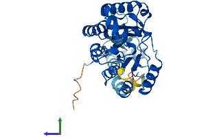 AlphaFold protein structure predicition of Mouse Recombinant Plcxd3 Protein, UniprotID Q8BLJ3