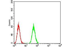 Flow Cytometry (FACS) image for anti-Chromobox Homolog 1 (CBX1) (AA 1-185) antibody (ABIN5890956) (CBX1 抗体  (AA 1-185))