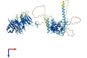 AlphaFold protein structure predicition of Human Recombinant NOL11 Protein, UniprotID Q9H8H0