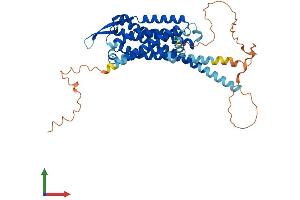 Protein Structure (PS) image for Cholecystokinin A Receptor (CCKAR) (AA 1-436) protein (His tag) (ABIN7562203)