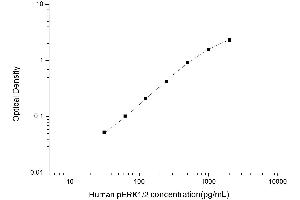 Typical standard curve (ERK1/2 ELISA 试剂盒)