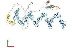 Protein Structure (PS) image for Zinc Finger Protein 28 (ZFP28) (AA 1-718) protein (His tag) (ABIN7545595)