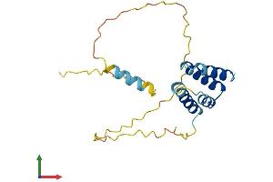 Protein Structure (PS) image for Cancer/testis Antigen Family 45, Member A5 (CT45A5) (AA 1-189) protein (His tag) (ABIN7546920)