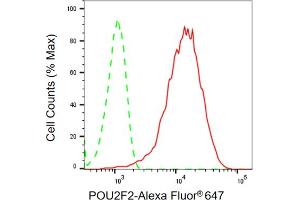 Flow cytometric analysis of POU2F2 expression in HepG2 cells using POU2F2 antibody (ABIN7799890), 1:2,000). (Recombinant Oct-2 抗体)
