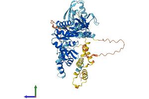 Protein Structure (PS) image for Membrane Protein, Palmitoylated 2 (MAGUK P55 Subfamily Member 2) (MPP2) (AA 1-576) protein (His tag) (ABIN7549508)