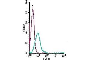 Cell surface detection of ZIP6 by direct flow cytometry in live intact human Jurkat T-cell leukemia cells: + Rabbit IgG Isotype Control-FITC (ABIN7582044).