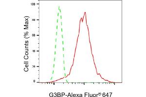 Flow cytometric analysis of G3BP expression in HepG2 cells using G3BP antibody (ABIN7798814), 1:2,000). (Recombinant G3BP1 抗体)