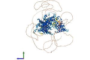 Protein Structure (PS) image for alpha-Kinase 1 (ALPK1) (AA 1-1231) protein (His tag) (ABIN7564957)