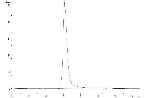 Size-exclusion chromatography-High Pressure Liquid Chromatography (SEC-HPLC) image for Interleukin 23 Receptor (IL23R) (AA 24-355) protein (mFc Tag) (ABIN7275031)