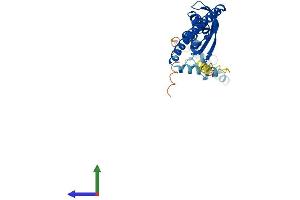 Protein Structure (PS) image for Stomatin (STOM) (AA 1-288) protein (His tag) (ABIN7546373)
