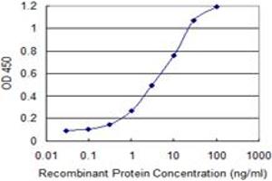 Detection limit for recombinant GST tagged KRT71 is 0. (Keratin 71 抗体  (AA 251-332))