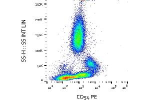 Flow cytometry analysis (surface staining) of CD54 expression in activated human peripheral blood with anti-CD54 (MEM-111) PE. (ICAM1 抗体  (PE))