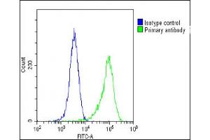 Overlay histogram showing Hela cells stained with (ABIN391965 and ABIN2841761)(green line).
