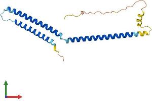AlphaFold protein structure predicition of Mouse Recombinant Med22 Protein, UniprotID Q62276
