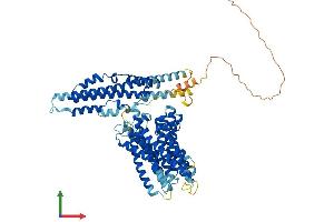 Protein Structure (PS) image for Xenotropic and Polytropic Retrovirus Receptor 1 (xpr1) (AA 1-696) protein (His tag) (ABIN7556025)