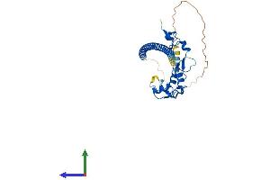 Protein Structure (PS) image for Family with Sequence Similarity 76, Member A (FAM76A) (AA 1-307) protein (His tag) (ABIN7560220)