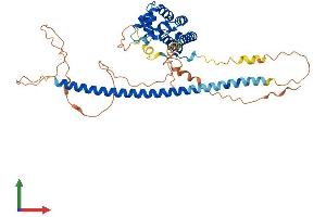 Protein Structure (PS) image for RUN Domain Containing 3A (RUNDC3A) (AA 1-446) protein (His tag) (ABIN7551700)