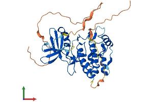 Protein Structure (PS) image for Tribbles Homolog 3 (Drosophila) (TRIB3) (AA 1-354) protein (His tag) (ABIN7564675)