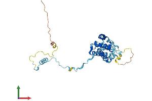 AlphaFold protein structure predicition of Human Recombinant GEMIN2 Protein, UniprotID O14893