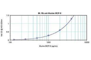 Image no. 1 for anti-Chemokine (C-C Motif) Ligand 12 (Ccl12) antibody (Biotin) (ABIN465850) (Ccl12 抗体  (Biotin))