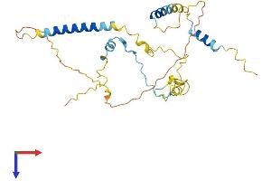AlphaFold protein structure predicition of Human Recombinant MTFR1L Protein, UniprotID Q9H019