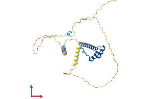 Protein Structure (PS) image for Ladybird Homeobox 1 (Lbx1) (AA 1-281) protein (His tag) (ABIN7548887)
