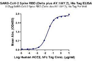 ELISA image for SARS-CoV-2 Spike (B.1.617.2 - delta plus), (RBD) protein (His tag) (ABIN7274490)