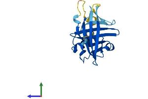 Protein Structure (PS) image for Apolipoprotein M (APOM) (AA 1-190) protein (His tag) (ABIN7556391)