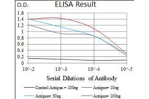 Black line: Control Antigen (100 ng), Purple line: Antigen(10 ng), Blue line: Antigen (50 ng), Red line: Antigen (100 ng), (CBX8 抗体  (AA 17-222))