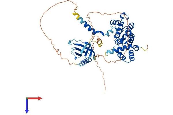 ARHGAP15 Protein (AA 1-475) (His tag)
