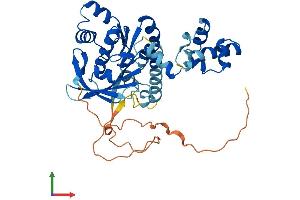 Protein Structure (PS) image for RAD51 Homolog B (Rad51B) (AA 1-384) protein (His tag) (ABIN7555112)