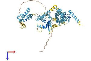 AlphaFold protein structure predicition of Human Recombinant MAGEE2 Protein, UniprotID Q8TD90