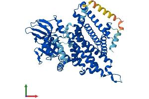 AlphaFold protein structure predicition of Human Recombinant ACOXL Protein, UniprotID Q9NUZ1
