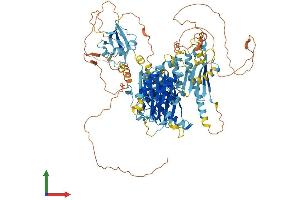 Protein Structure (PS) image for Inturned Planar Cell Polarity Effector Homolog (INTU) (AA 1-942) protein (His tag) (ABIN7563599)