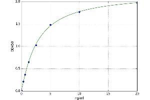 Follicle Stimulating Hormone Receptor (FSHR) ELISA Kit