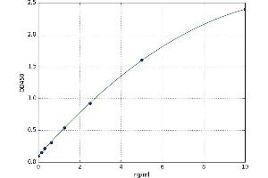 Chemokine (C-C Motif) Receptor 6 (CCR6) ELISA Kit