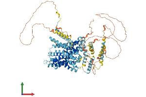 Protein Structure (PS) image for Solute Carrier Family 9, Subfamily A (NHE1, Cation Proton Antiporter 1), Member 1 (SLC9A1) (AA 1-815) protein (His tag) (ABIN7555573)