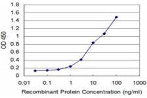 Detection limit for recombinant GST tagged HOXA5 is approximately 0. (HOXA5 抗体  (AA 171-270))