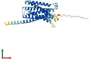 Protein Structure (PS) image for MAS-Related GPR, Member D (MRGPRD) (AA 1-321) protein (His tag) (ABIN7549528)