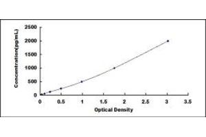 Typical standard curve (GFAP ELISA 试剂盒)