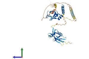 Protein Structure (PS) image for Polycomb Group Ring Finger 6 (PCGF6) (AA 1-353) protein (His tag) (ABIN7560440)