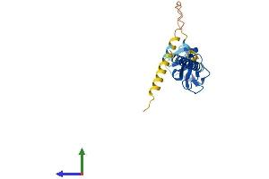 Protein Structure (PS) image for MIS18 Kinetochore Protein Homolog A (MIS18A) (AA 1-204) protein (His tag) (ABIN7560791)