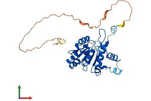 Protein Structure (PS) image for Cms Small Ribosomal Subunit 1 (CMSS1) (AA 1-279) protein (His tag) (ABIN7546635)