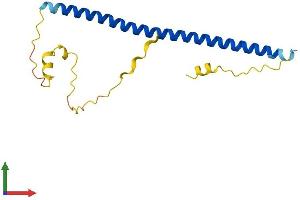 AlphaFold protein structure predicition of Human Recombinant JDP2 Protein, UniprotID Q8WYK2