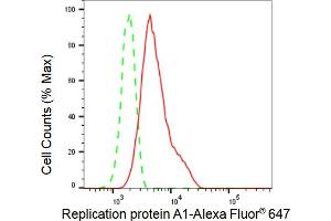 Flow cytometric analysis of Replication protein A1 expression in HepG2 cells using Replication protein A1 antibody (ABIN7800172), 1:2,000). (Recombinant RPA1 抗体)
