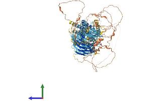 Protein Structure (PS) image for SREBF chaperone (SCAP) (AA 1-1279) protein (His tag) (ABIN7555415)