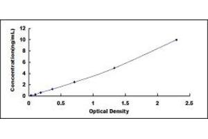 Typical standard curve (LCP1 ELISA 试剂盒)