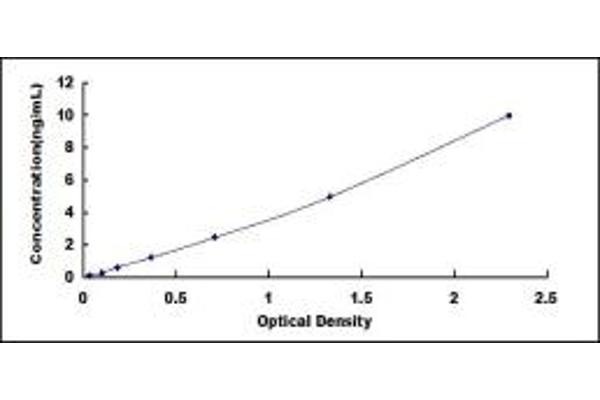 LCP1 ELISA 试剂盒