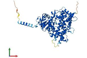 Protein Structure (PS) image for Cytochrome P450, Family 1, Subfamily A, Polypeptide 1 (CYP1A1) (AA 1-524) protein (His tag) (ABIN7562718)